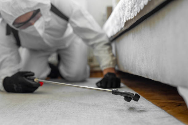 Professional Cockroach Control technician working in Dawson, TX